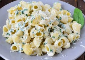 pâtes au bleu d'auvergne occitanie idée recette artisanale