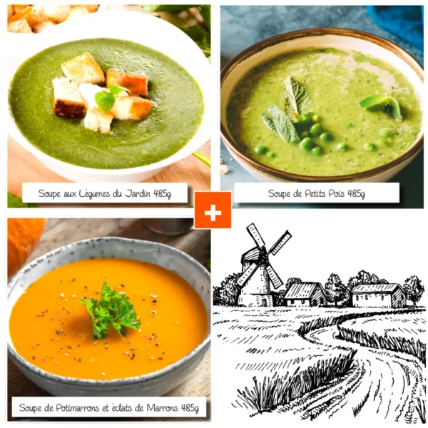 trio de soupes artisanales